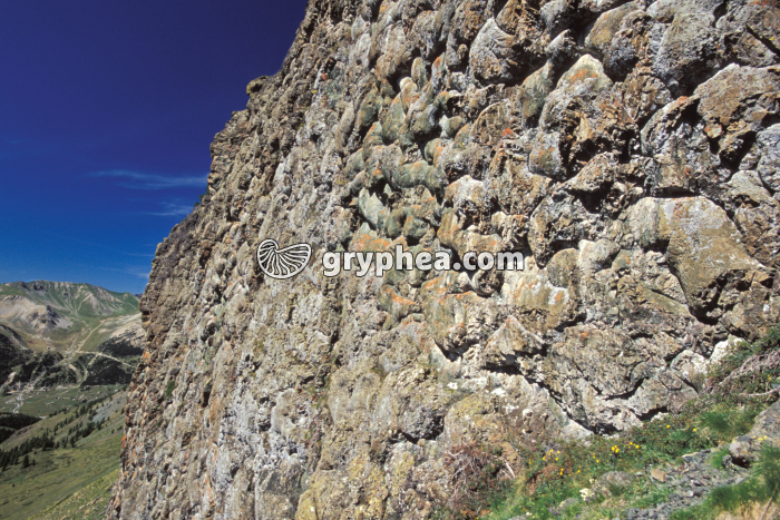 Pillow-lavas Chenaillet - gryphea.com